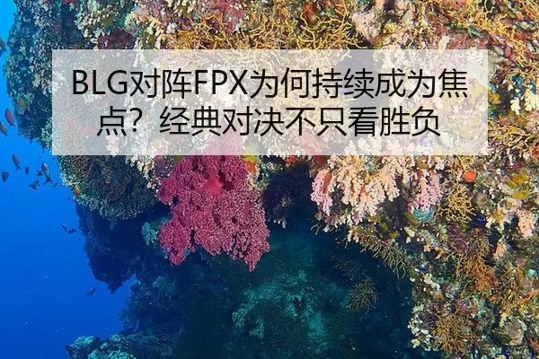 BLG对阵FPX为何持续成为焦点？经典对决不只看胜负